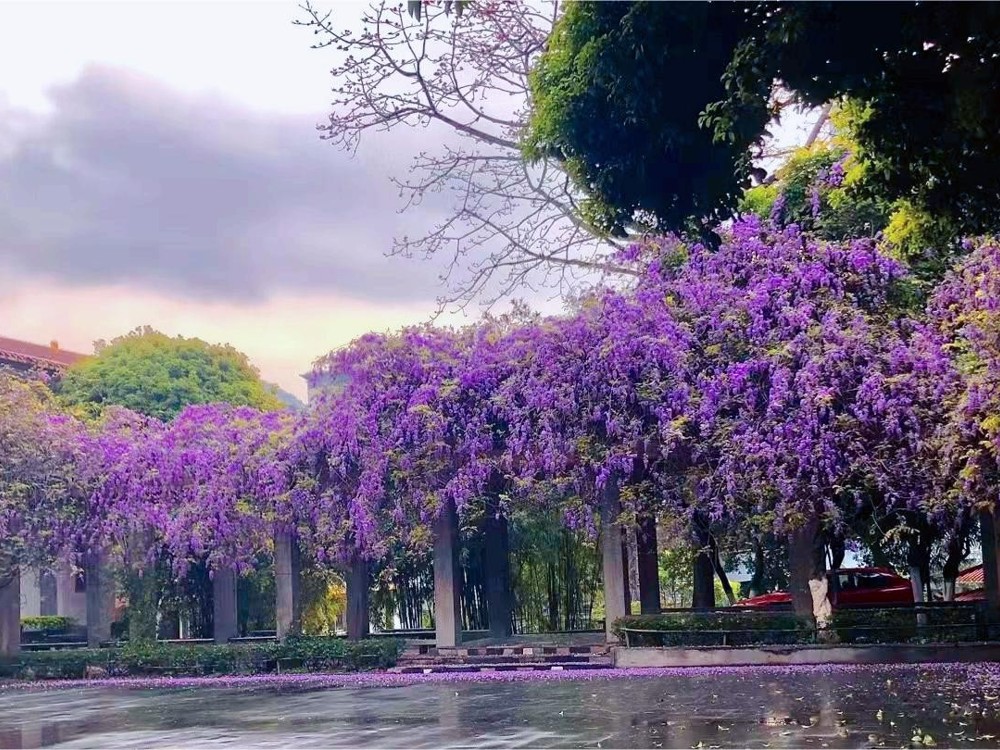 校园环境2