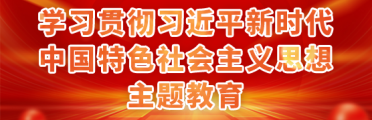 学习贯彻习近平新时代中国特色社会主义思想主题教育